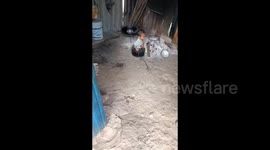 China: Little Troublemaker