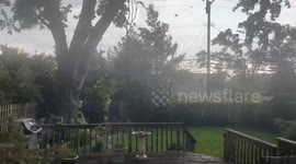 Lightning strikes during windstorm in Royal Oak, Michigan