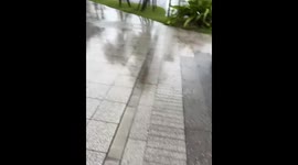 Typhoon Shanshan brings strong winds and rain to Miyazaki, Japan