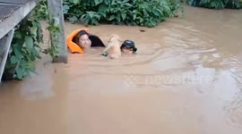 Stranded dog carried to safety through neck-deep floods