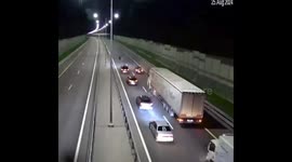 Unfazed bear cub causes traffic jam as it strolls along highway in Russia