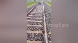 Train performs emergency stop due to man sleeping on tracks in India