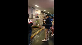 Thirsty cat drinks from elaborate water fountain