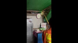 Huge python caught inside roof of home