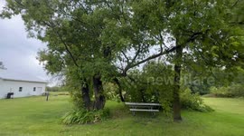Brief wind storm in Minnesota knocks downs huge tree branch!