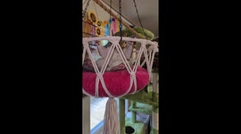 Squirrel Relaxing in his Swing