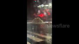 Japan: Tropical Storm Shanshan Brings Torrential Rains To Kanto Region 5