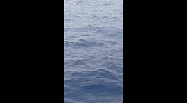 Fisherman drifting in sea for five hours saved by passing ferry