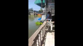 Youngster swims through river to save fish trapped in plastic bag