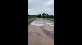 Bridge collapses in India as floods kill 28
