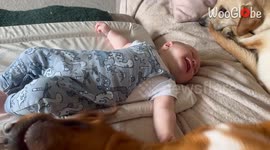 Baby giggles non-stop after dog sneezes while lying on the bed together