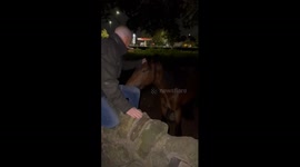 Leeds horse riding mishap at night