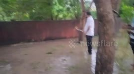 Rescue team needed as 11-foot CROCODILE spotted on uni campus in western India