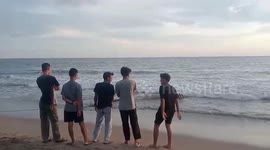 Whale Stranded on the Coast of Batang Kapas Beach, Pesisir Selatan Regency