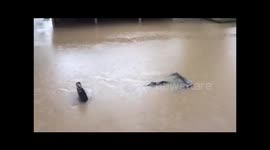 Simonton TX 5/30/16 Brazos River flooding