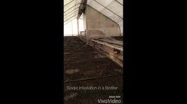 SPIDER INFESTATION!!