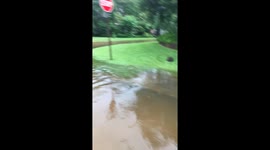 Flooding im the woodlands, tx