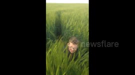 Dog ambushes boy in field
