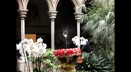 The