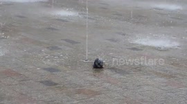 Pigeon Takes A Bath In Somerset House