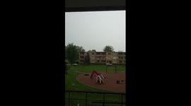 Lightning hits pine tree