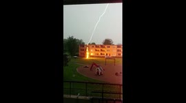 Lightning hits pine tree