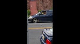 Horse rides in car in Pennsylvania, USA