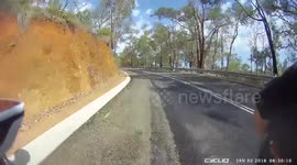 Slow Down, Kangaroo Crossing