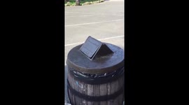 People save stricken squirrel from theme park bin