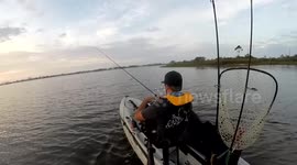 Osprey attacks lure while kayak fishing