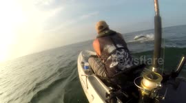 Tarpon Jump