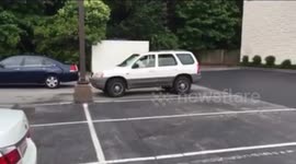 'Impatient' dog honking horn in carpark