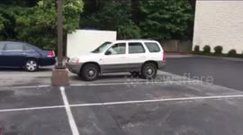 'Impatient' dog honking horn in carpark