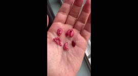 A closeup shot of miniature 3D organs in a hand
