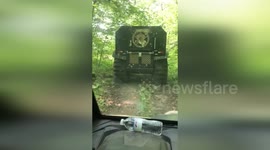 USA: Search Intensifies for Missing Veteran Caleb Bolin in Itasca County