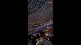 Woman captures alternate shot of alien's entrance at Closing Ceremony of 2024 Olympic Games
