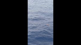 Stranded fisherman rescued 'after hit-and-run sea accident' off Philippine coast