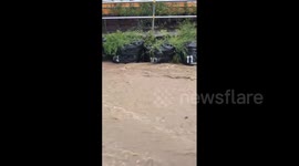 Japan: Tropical Storm Shanshan Brings Torrential Rains To Kanto Region 8