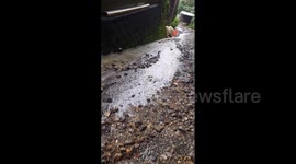 Japan: Tropical Storm Shanshan Causes Major Flooding, Mudslides, Leaving Multiple Dead 3