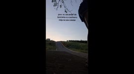 Dog urinates on phone left recording while owner rides bicycle in Minas Gerais, Brazil