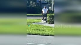 United States: Cape Coral Man's Aggressive Handling of Dog Caught on Video
