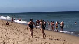 Labor Day Beach Celebrations