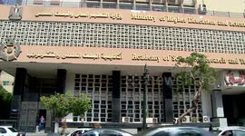 Egypt to build large EV manufacturing complex: minister
