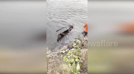 United States: Boating Deputies and Locals Save Horse Named Bailey