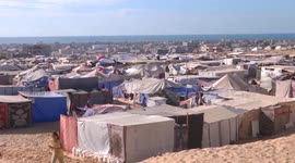 Palestine: Death toll in Gaza rises to 40,691