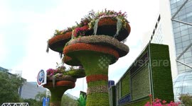 China: 2024 Forum on China-Africa Cooperation Summit Flower Bed