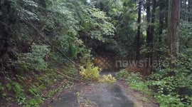 Japan: Downed Trees Block Road In Okazaki As Tropical Storm Shanshan Lashes Country