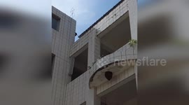 Pest controllers remove wasps from outside classroom in China