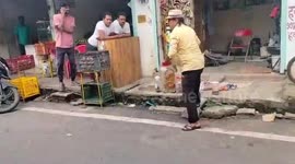 India: Dozens of snakes rescued and released in forest by local snake catcher in central India