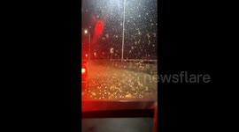 Chaos as swarms of flies crash against vehicles and form snow-like substance on roads in China